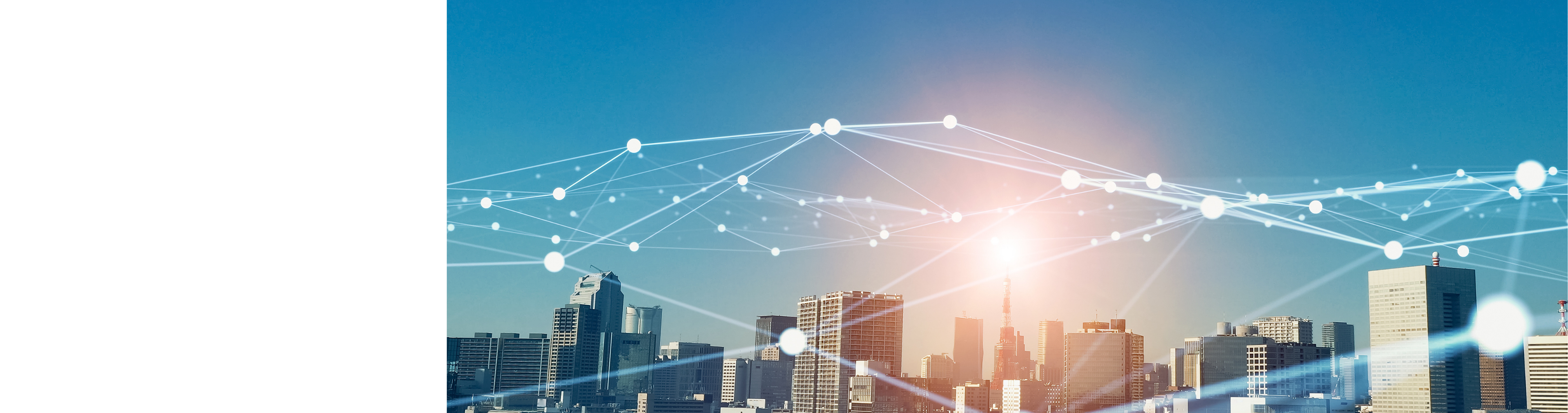 TNS Enterprise Authentication Services